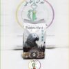 دان مخصوص کاسکو سلکتیو