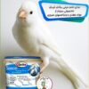 غذای تخم مرغی کویکو یکی از بهترین خوراک پرنده جهت تامین کلیه ویتامین ها و پروتئین ها است.
