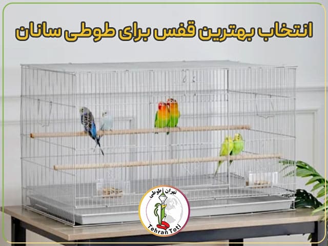 انتخاب بهترین قفس برای عروس هلندی و طوطی‌سانان