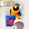 سنگ برای نوک عروس هلندی و هضم غذا
