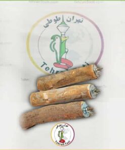 فروش چوب گرد مخصوص نشستن پرنده در قفس تهیه شده از چوب کاملا طبیعی موجود در فروشگاه طوطی سانان تهران طوطی در تهران