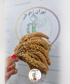 خرید ارزن خوشه ای مناسب برای پرندگان زینتی با بهترین قیمت