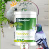 خرید پروبیوتیک انتروباک Entrobac برند رانفرید آلمان
