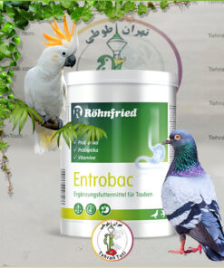 خرید پروبیوتیک انتروباک Entrobac برند رانفرید آلمان